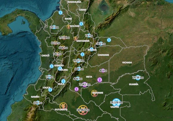 Primera imagen de monitoreo