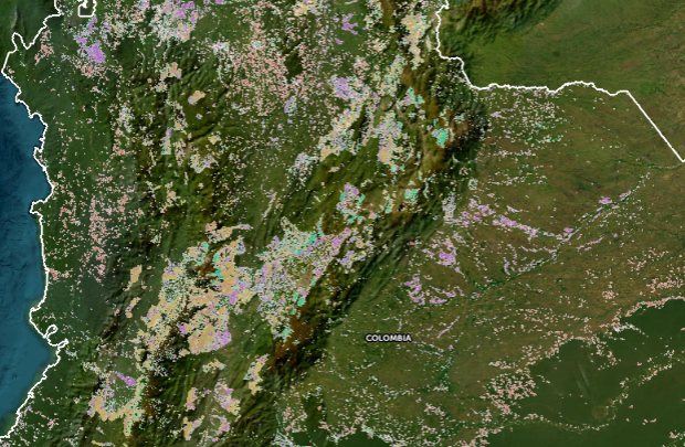 Segunda imagen de monitoreo